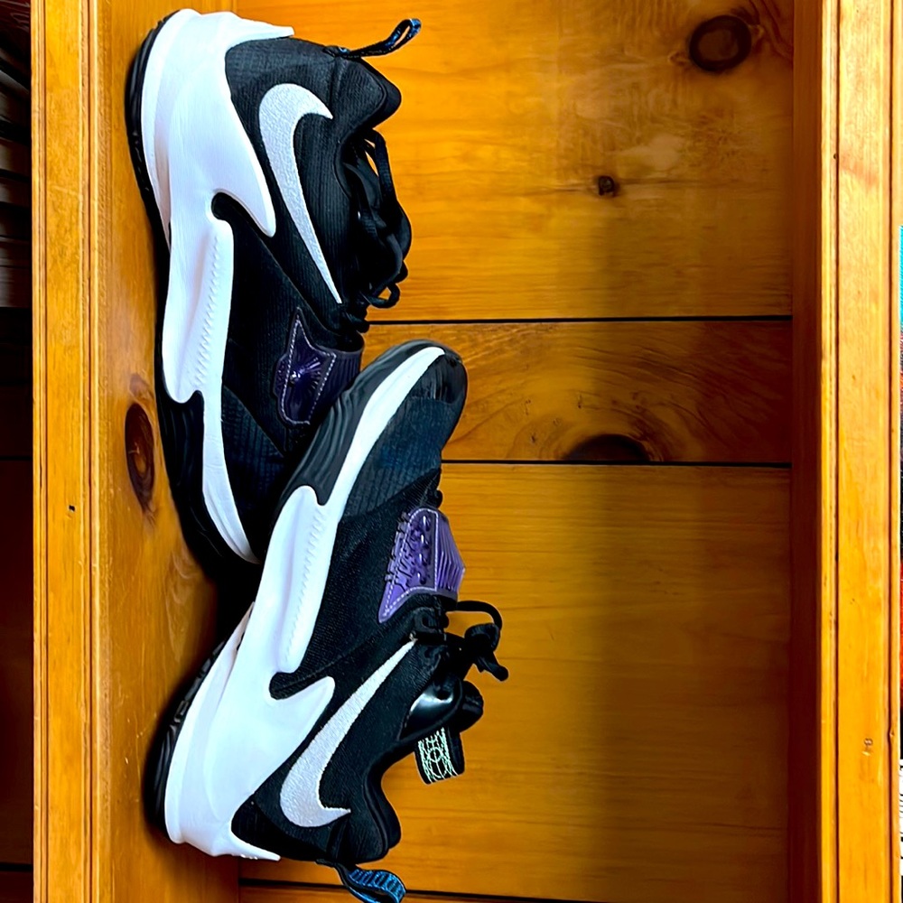 Nike Zoom Freak 3 basketball shoes. Excellent Condition